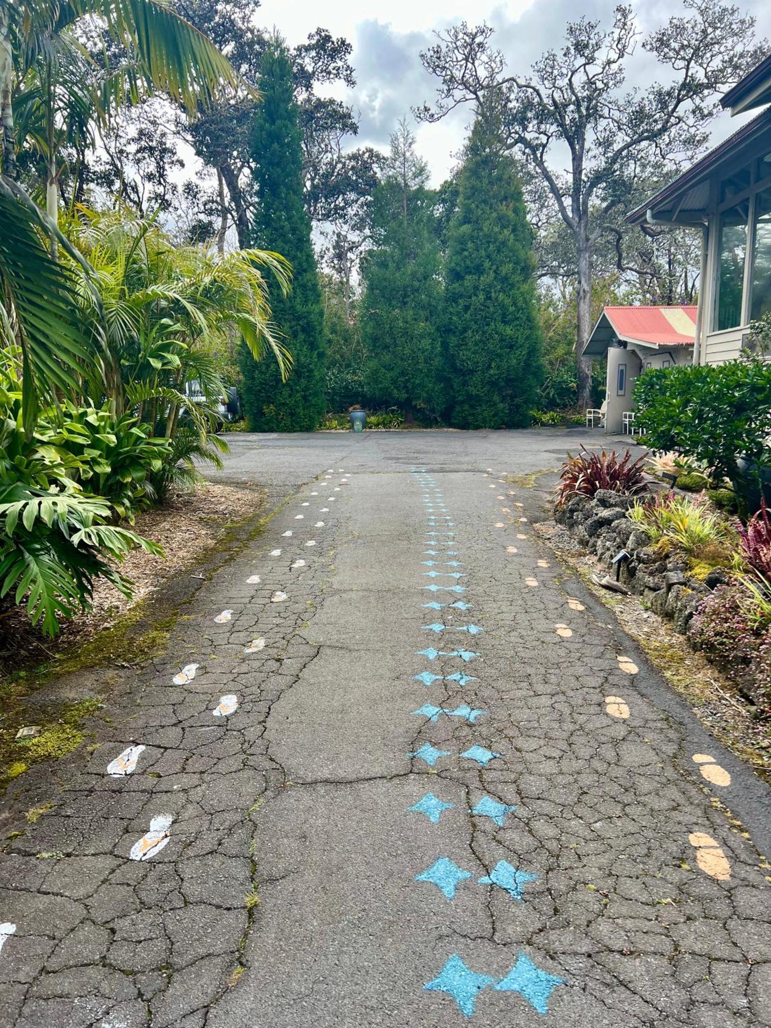 Aloha Junction Bed And Breakfast -Minutes Away From Hawaii Volcanoes National Park Bagian luar foto