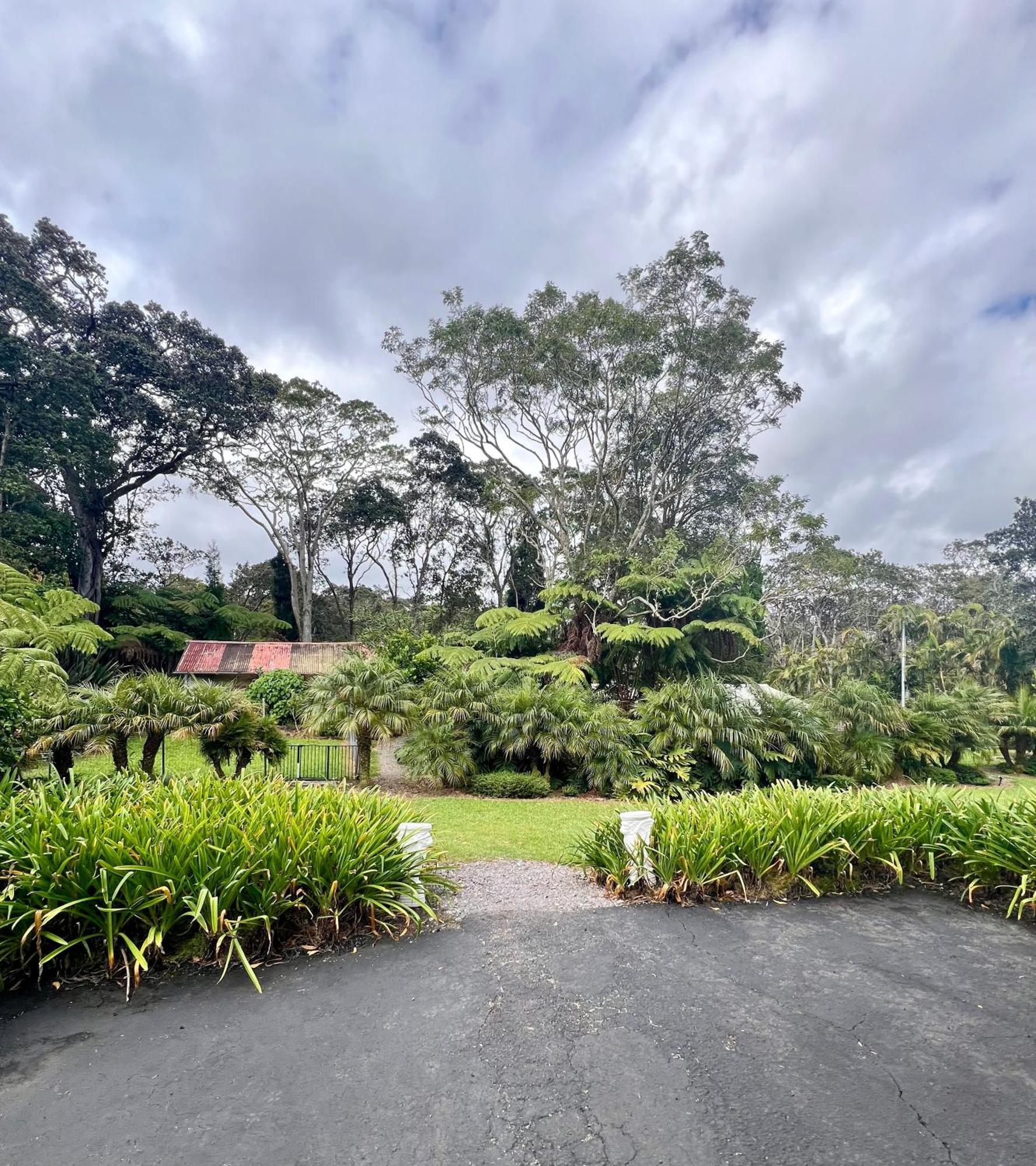 Aloha Junction Bed And Breakfast -Minutes Away From Hawaii Volcanoes National Park Bagian luar foto
