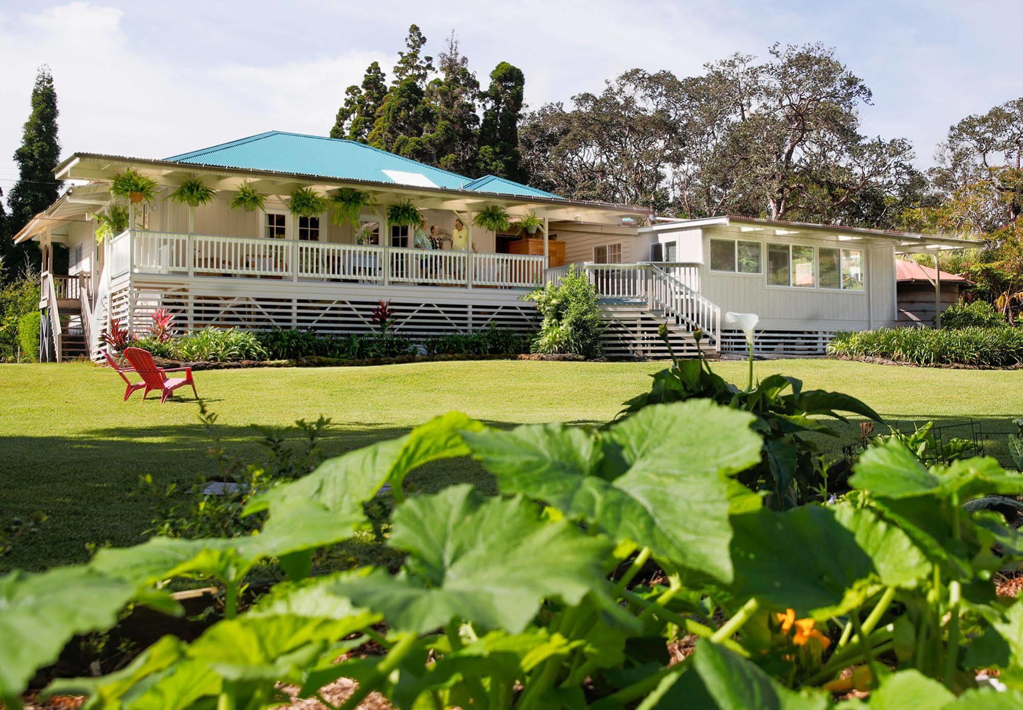 Aloha Junction Bed And Breakfast -Minutes Away From Hawaii Volcanoes National Park Bagian luar foto